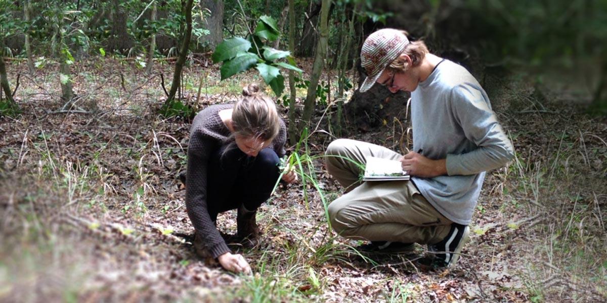 students conducting plant survey